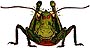 grasshopper2.jpg
