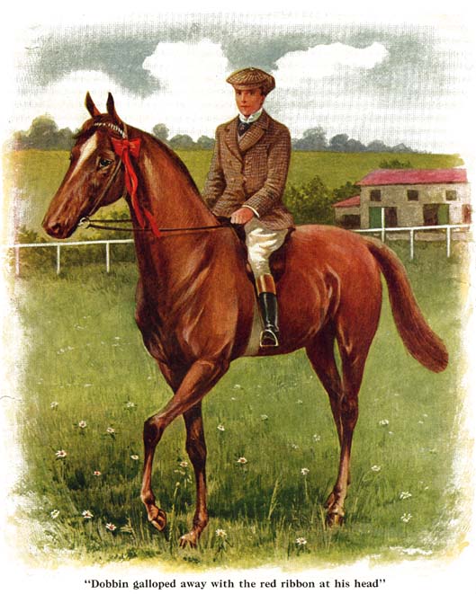 dobbin02