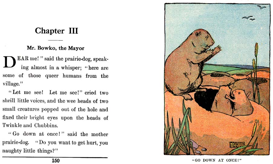 075_Twinkle_and_Chubbins