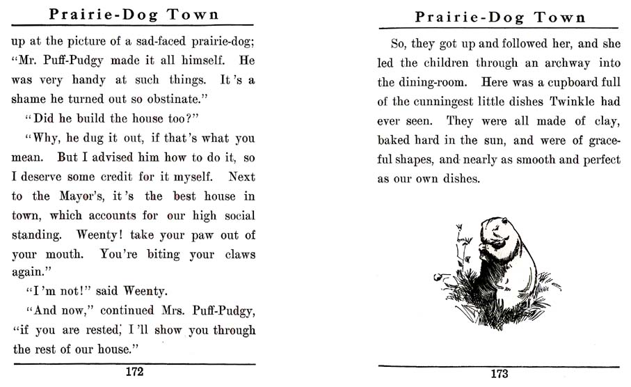 086_Twinkle_and_Chubbins